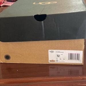 UGG Men's Boots - Distressed Brown